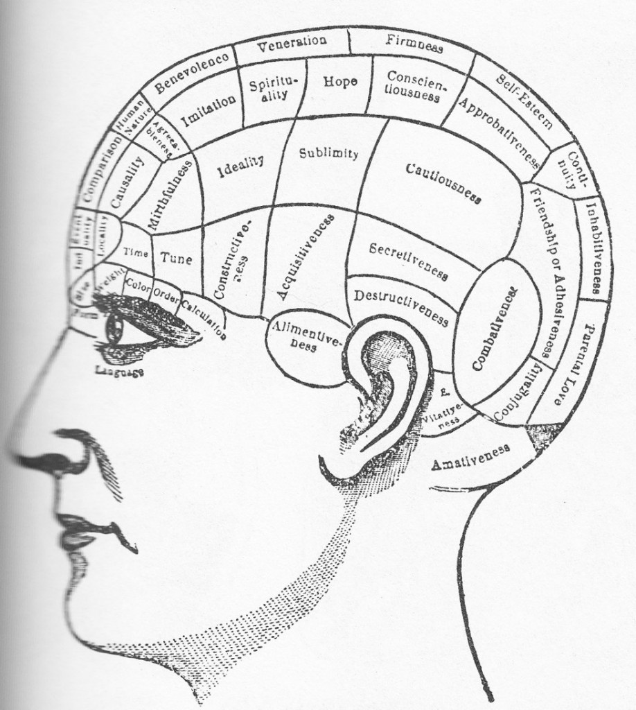 Brain Chart