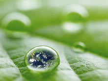 AMNH Presents: Half-Earth Day