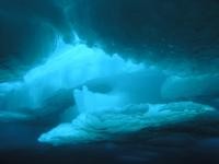 Milstein Science Series | Beneath the Ice: Immersion Dome Installation CLOSING
