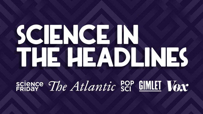 Science in the Headlines: 2019's Discoveries, Disappointments, and Downright Weirdness