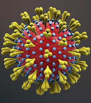 The Economic Impact of Coronavirus