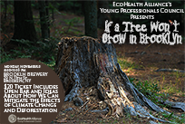 If a Tree Won't Grow in Brooklyn