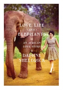 love life and elephants an african love story